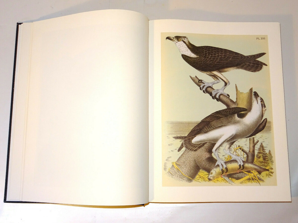 Studer´s Popular Ornithology. The Birds of North America. Reprint 1977
