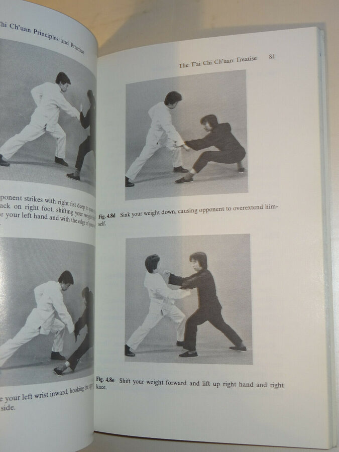 C.K.Chu: T´ai Chi Ch´uan. Principles and Practice. Sunflower-Press 1981