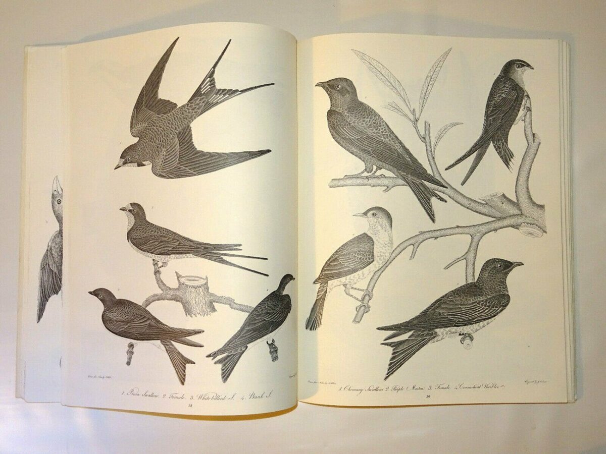 A.Wilson: American Bird Engravings. All 103 Plates. American Ornithology. 1975