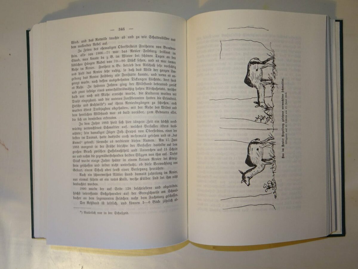 Andreae: Die Geschichte der Jagd im Taunus. Nachdruck 1894-1981 Jäger Hessen