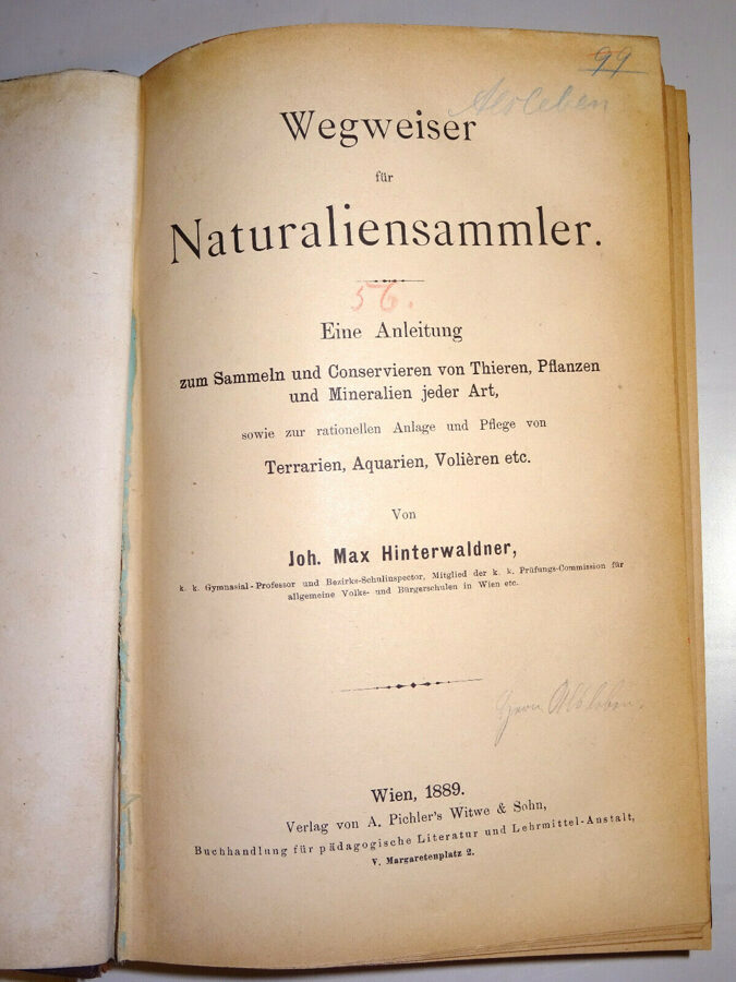 Hinterwaldner: Wegweiser für Naturaliensammler. Pichler´s Witwe und Sohn, 1889