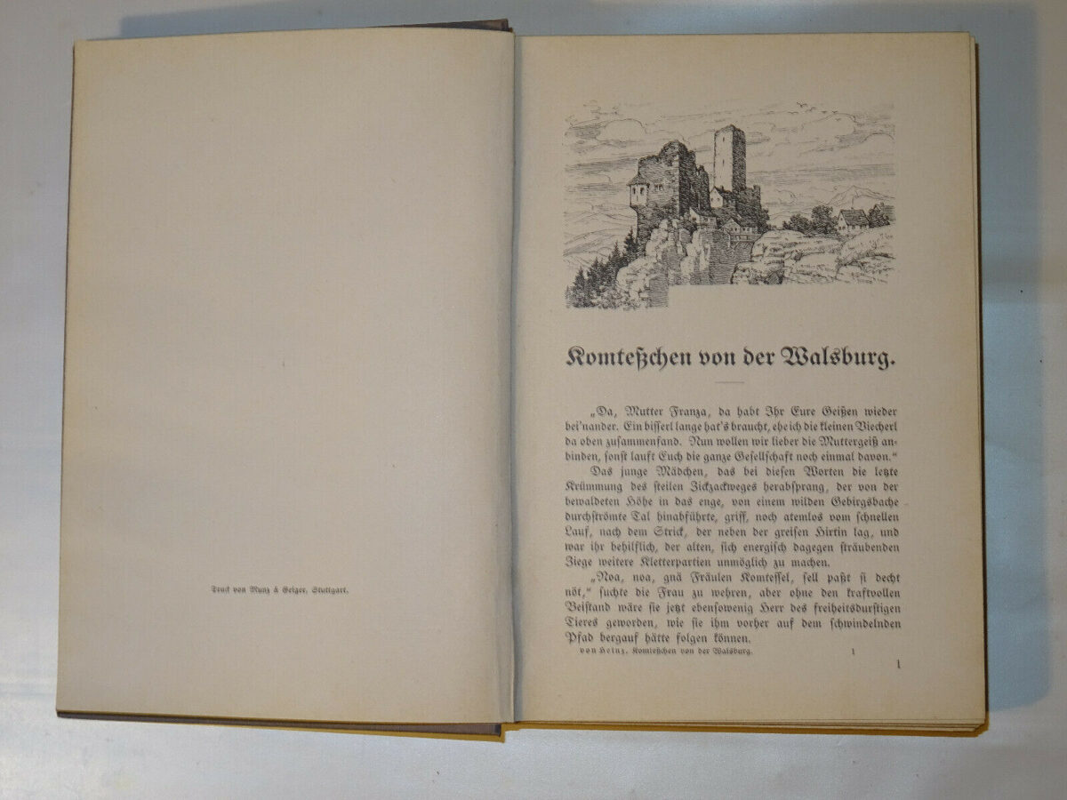 Heinz: Komtesschen von der Walsburg. Erzählung für junge Mädchen. Weise 1913