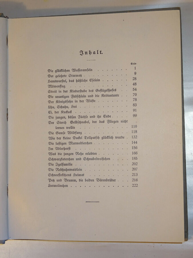 Marie Beeg: Allerlei Geschichten aus der Tierkinderstube. Globus-Verlag um 1900