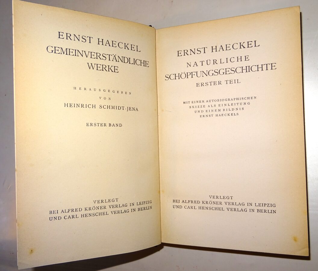 Haeckel: Gemeinverständliche Werke Schöpfungsgeschichte. Kröner-Verlag 1924