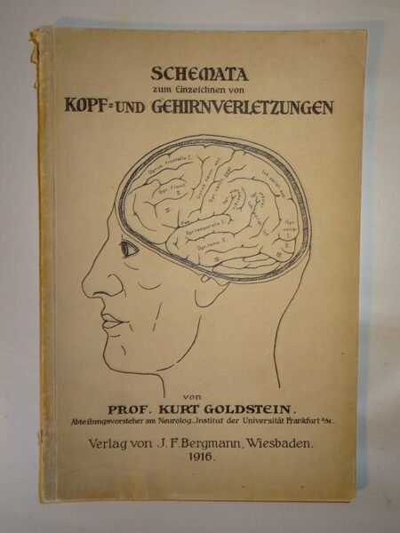 Goldstein: Schemata zum Einzeichnen von Kopf- und Gehirnverletzungen 1916